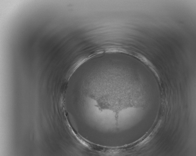 X0000068311385200604281724