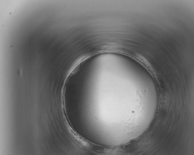 X0000068311386200604281724