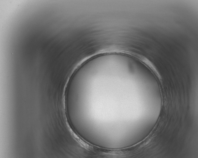 X0000068311388200604281724