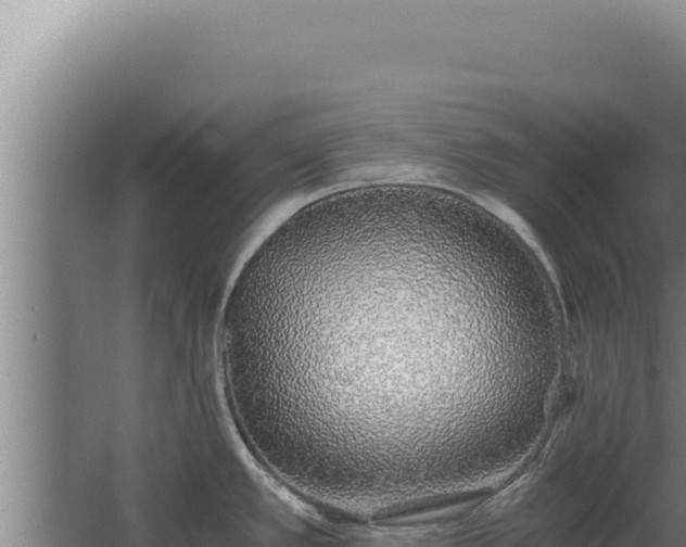 X0000068311389200604281724