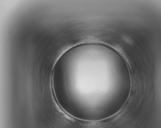 X0000068311390200604281724