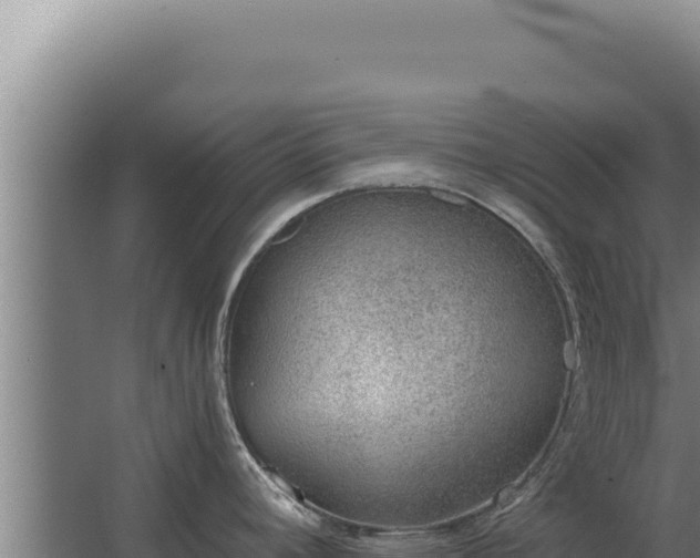 X0000068311392200604281724