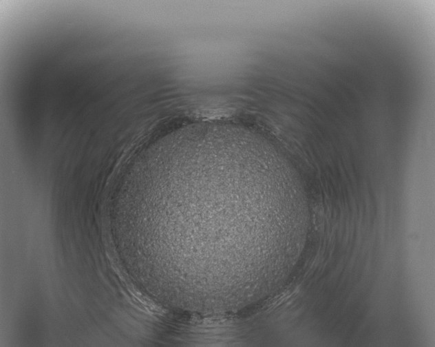 X0000068311393200604281723