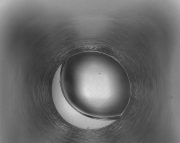 X0000068311394200604281723