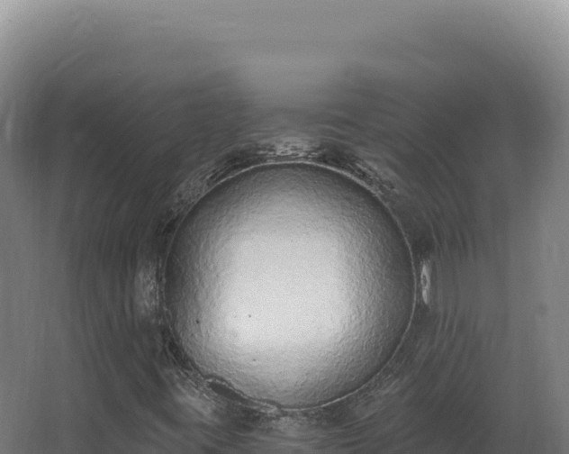 X0000068311395200604281723