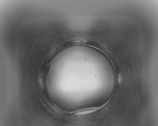 X0000068311396200604281723