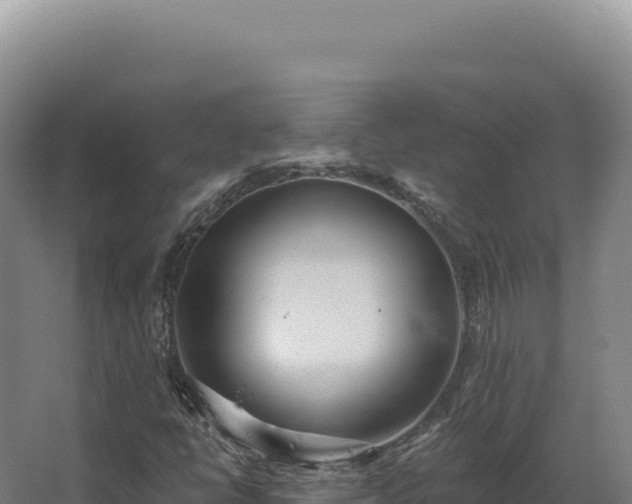 X0000068311398200604281723