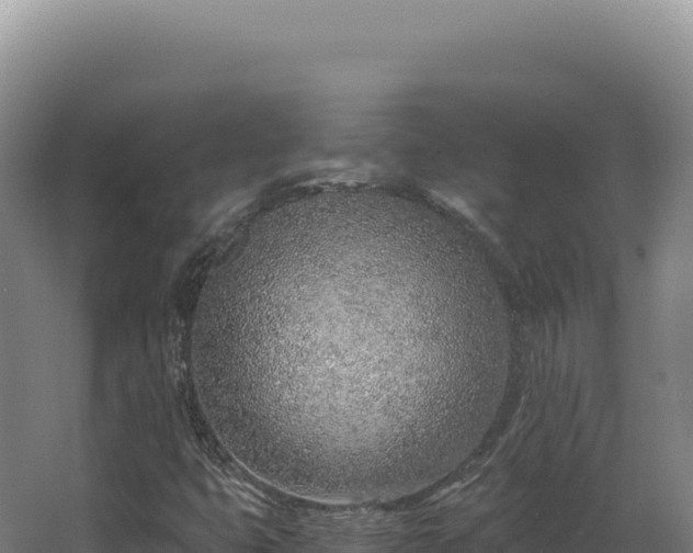 X0000068311399200604281723