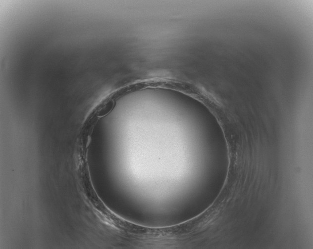 X0000068311400200604281723