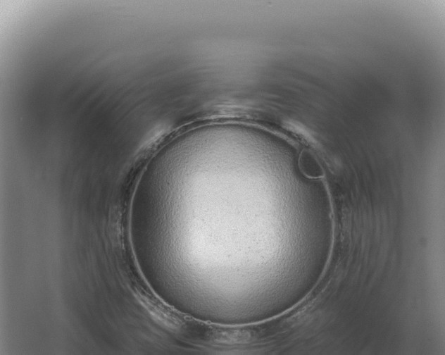 X0000068311403200604281723