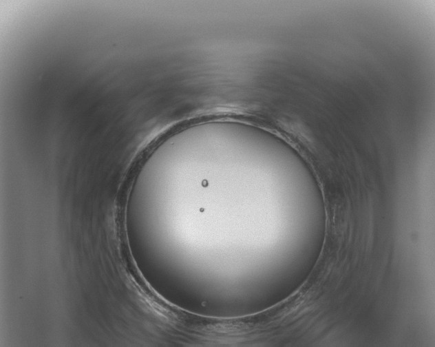 X0000068311404200604281723