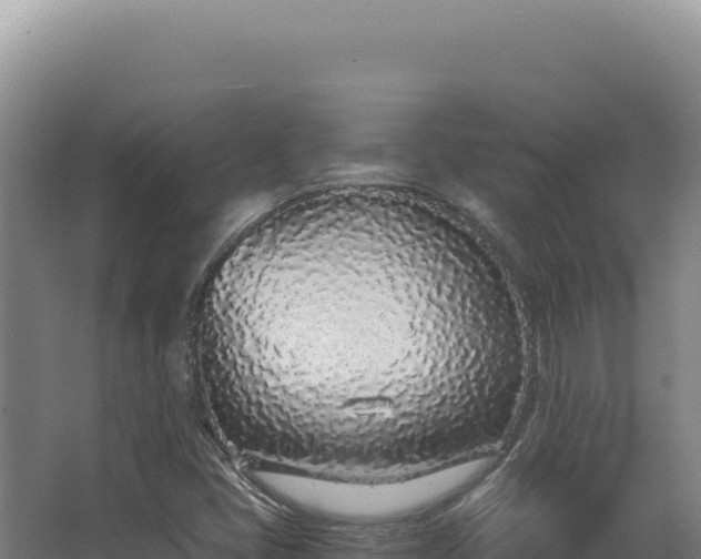 X0000068311405200604281723