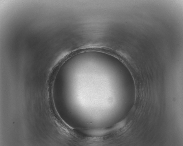 X0000068311406200604281723