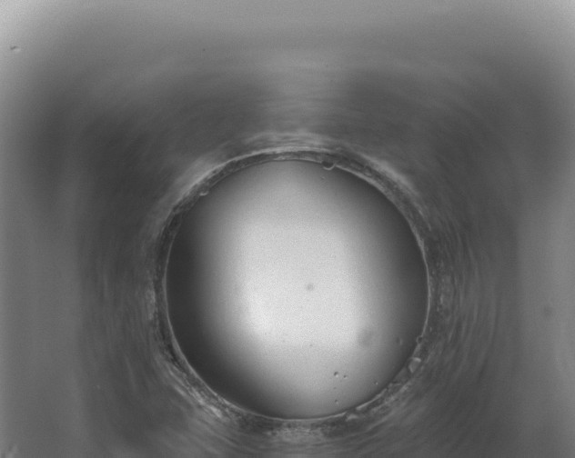 X0000068311407200604281723