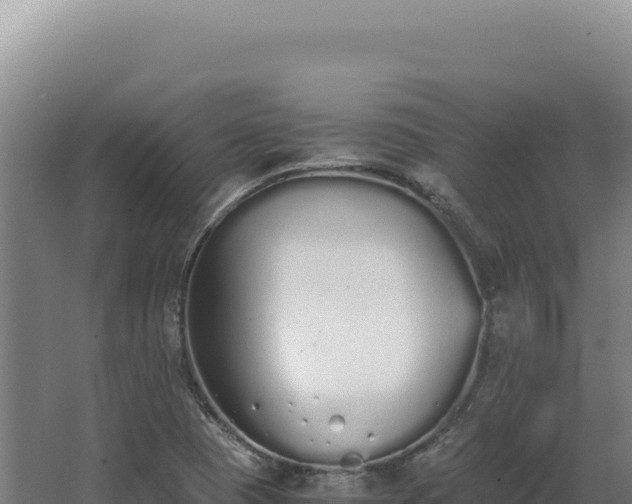 X0000068311409200604281723