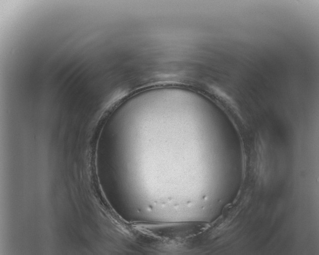 X0000068311411200604281723