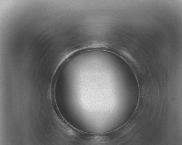 X0000068311412200604281723