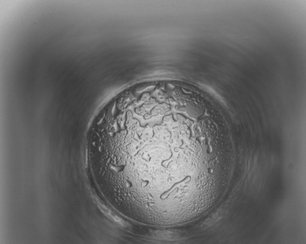 X0000068311413200604281723