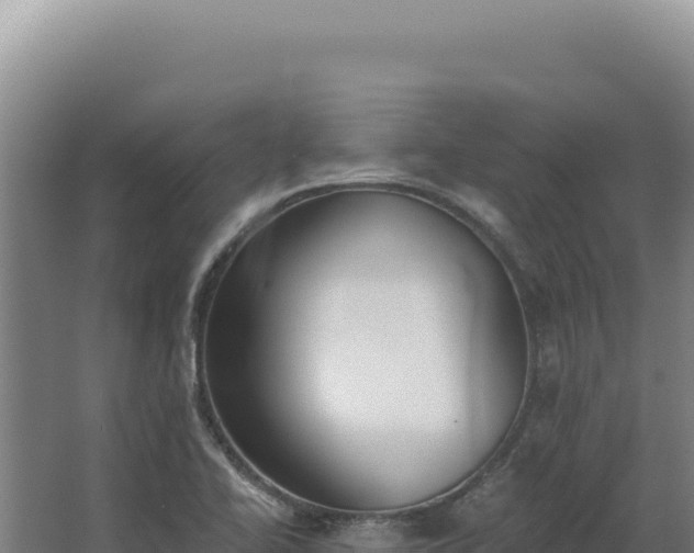 X0000068311414200604281723