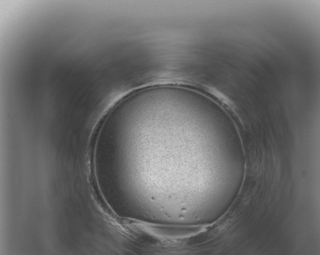 X0000068311415200604281723