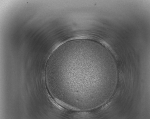 X0000068311417200604281724