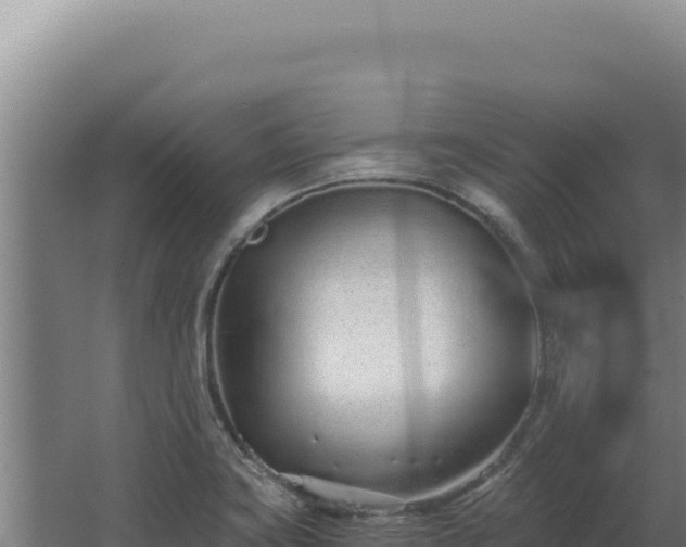 X0000068311419200604281724