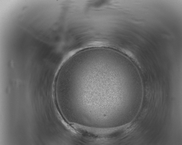 X0000068311421200604281724