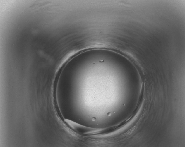 X0000068311422200604281724