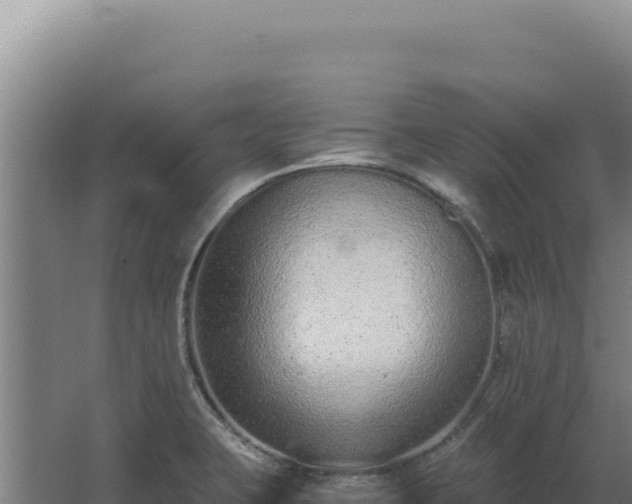 X0000068311423200604281724