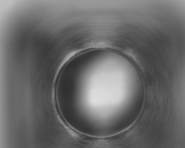 X0000068311424200604281724