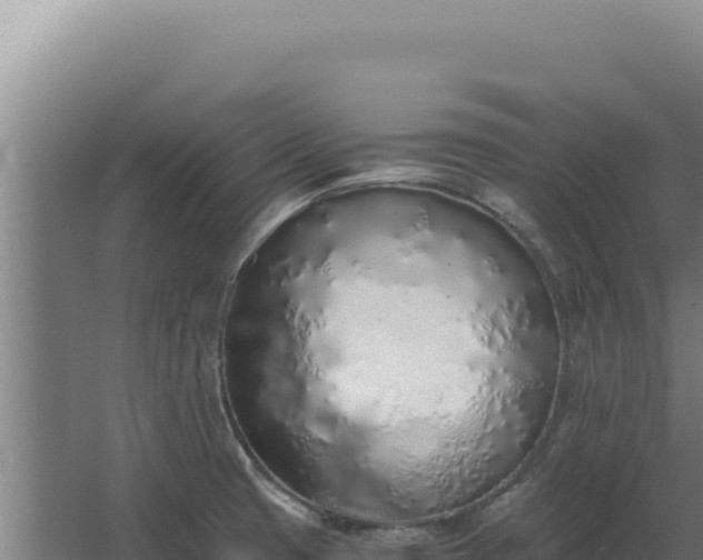 X0000068311425200604281724