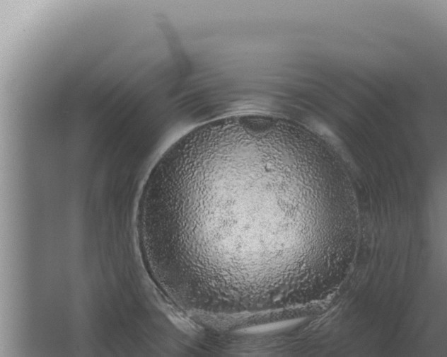 X0000068311427200604281724