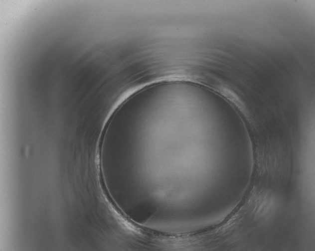 X0000068311428200604281724