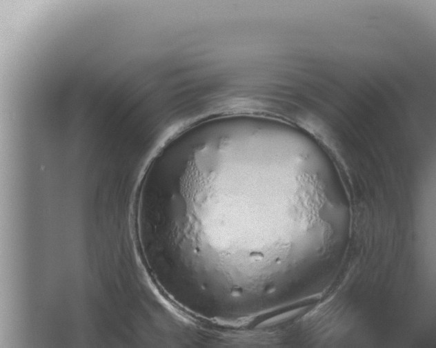 X0000068311429200604281724