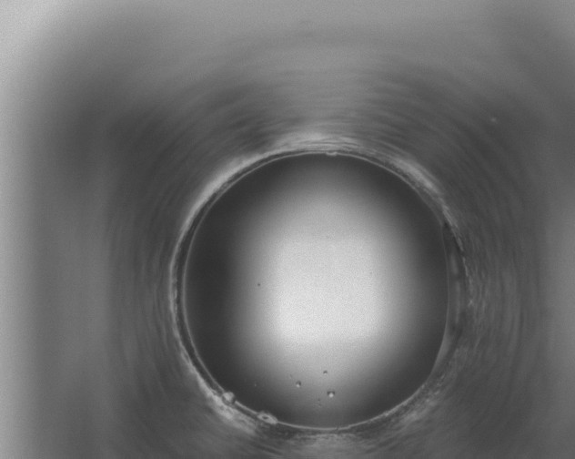 X0000068311430200604281724