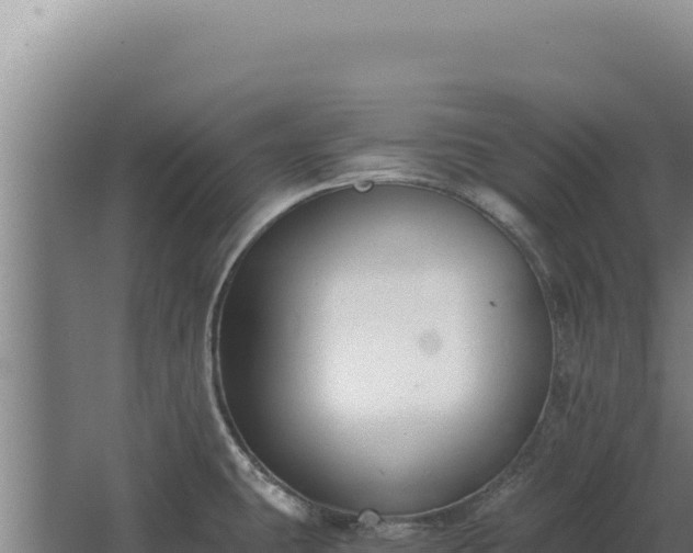 X0000068311431200604281724