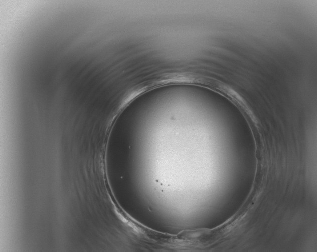 X0000068311433200604281724