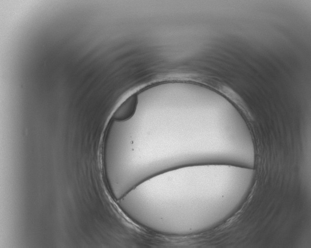 X0000068311436200604281724