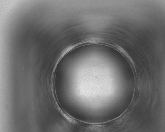 X0000068311437200604281724