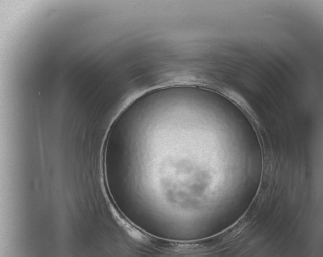 X0000068311439200604281724