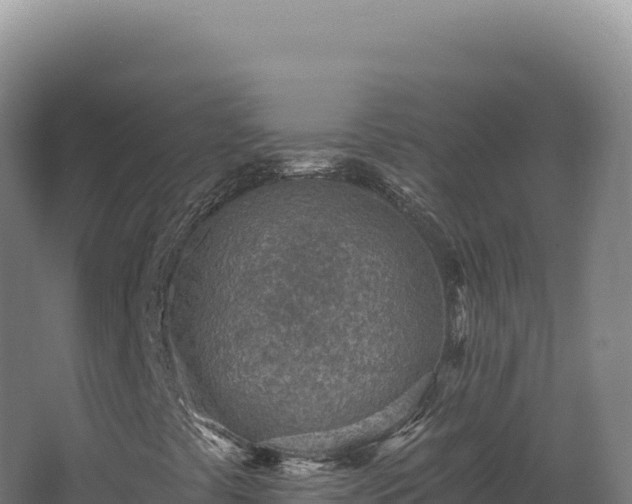 X0000068311441200604281723