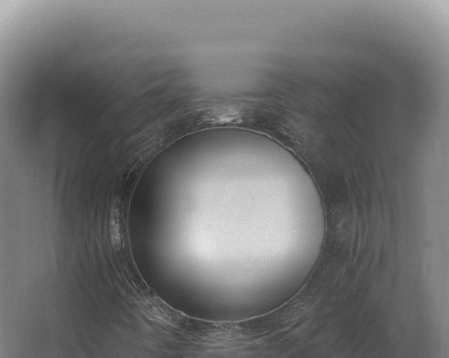 X0000068311442200604281723