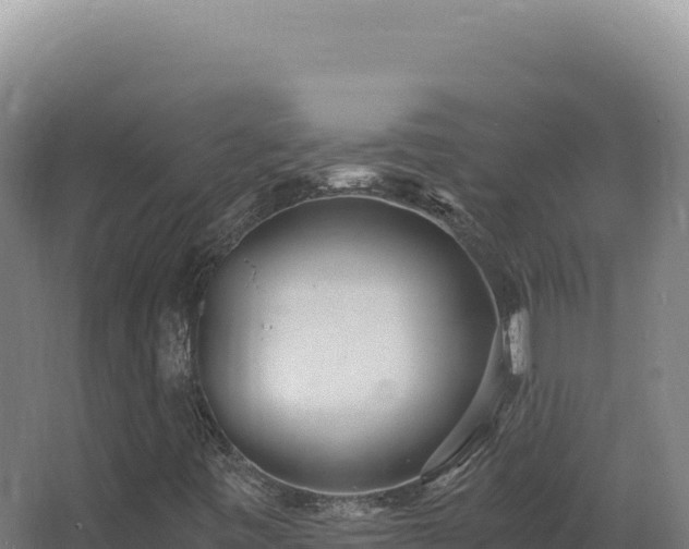 X0000068311443200604281723