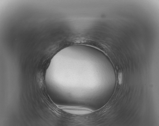 X0000068311444200604281723