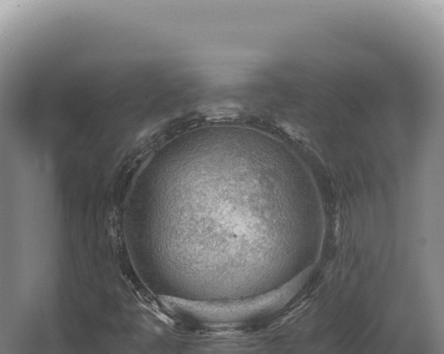 X0000068311445200604281723