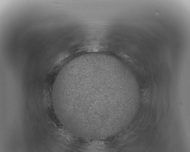 X0000068311446200604281723