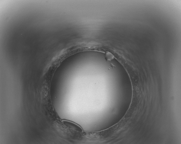 X0000068311447200604281723