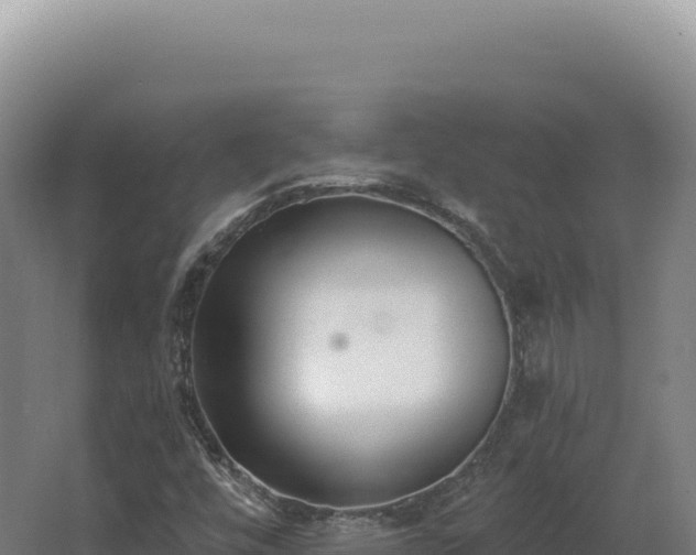 X0000068311448200604281723