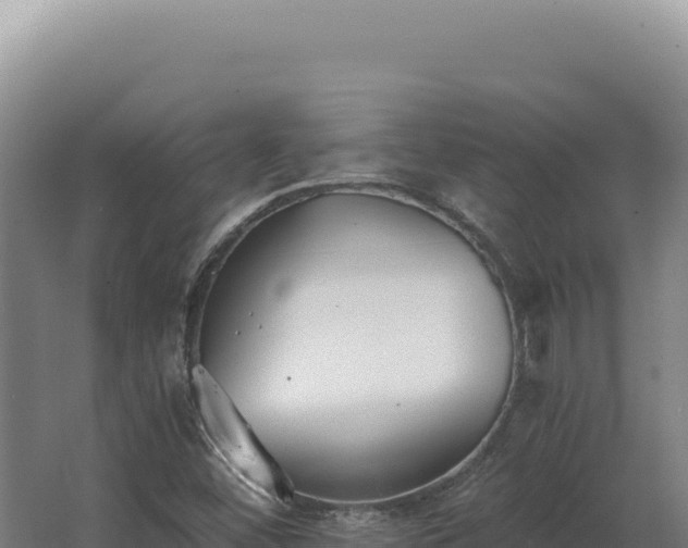 X0000068311452200604281723