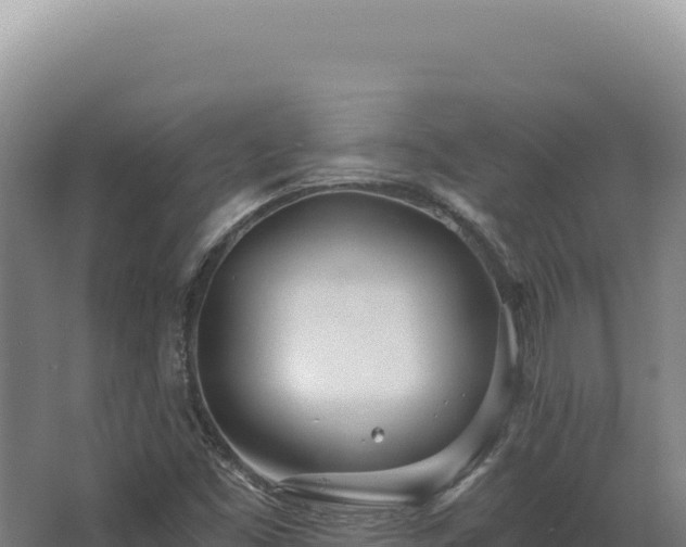 X0000068311453200604281723